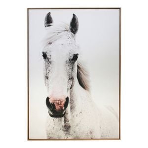 LVD Framed Canvas/Resin 72x102cm Brumby Wall Hanging Art