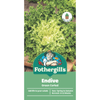 Fothergill's Endive Vegetable Seeds