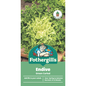 Fothergill's Endive Vegetable Seeds
