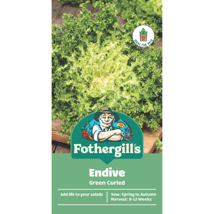 Fothergill's Endive Vegetable Seeds