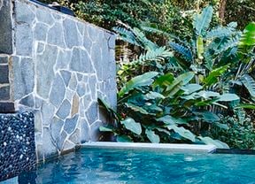Pool with stone wall feature and palms.