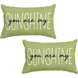 Catzon 2 Pcs Summer Lumbar Pillow Covers Linen Pillowcase for Home Decor-Set 7