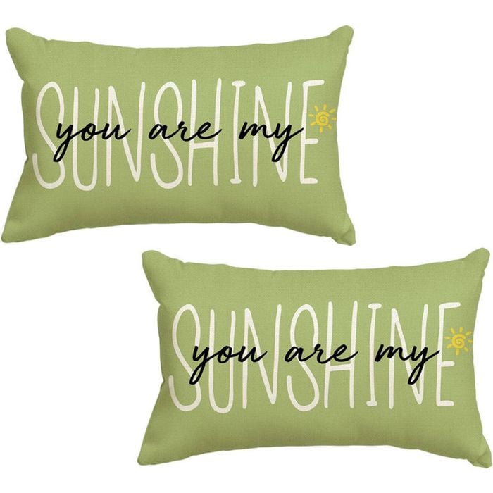 Catzon 2 Pcs Summer Lumbar Pillow Covers Linen Pillowcase for Home Decor-Set 7