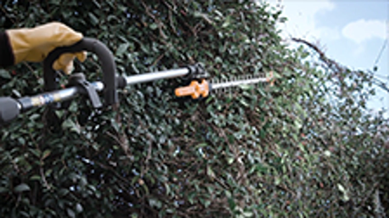 Bunnings aeg hedge trimmer online