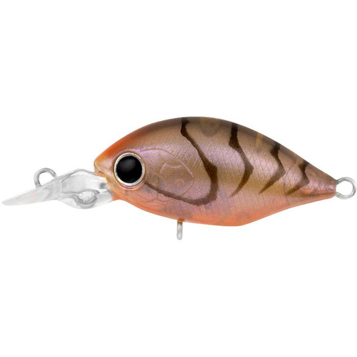 Daiwa 2020 Infeet Rolling Crank MR 32mm Floating Crankbait Fishing Lure Brown Suji UV