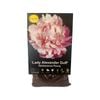 Yarra Valley Bulbs Peony Lady Alexander Duff - 1 Pack