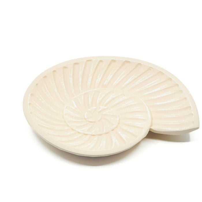 Rayell Harp Shell Trinket Tray Beige Home Decor/Storage 23x20x2cm