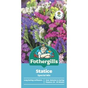 Fothergill's Statice Special Mixed Seeds