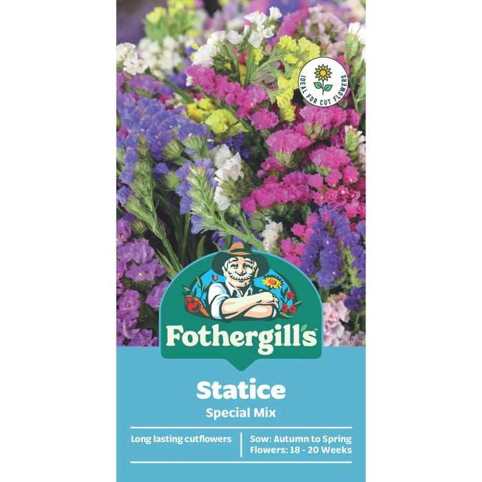 Fothergill's Statice Special Mixed Seeds