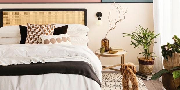 A modern bedroom with a rattan‑style bedhead, layered white bedding, and patterned cushions. A round side table holds decorative items including a vase with branches. Indoor plants sit on the floor beside the table. A small dog sits on a patterned rug at the foot of the bed.