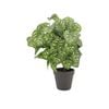 UN-REAL 45cm Artificial Peacock Leaves Plant
