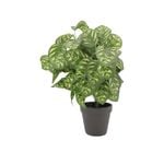 UN-REAL 45cm Artificial Peacock Leaves Plant
