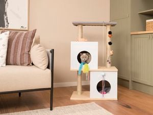 Cat gazing outside from a two tier cat tower.