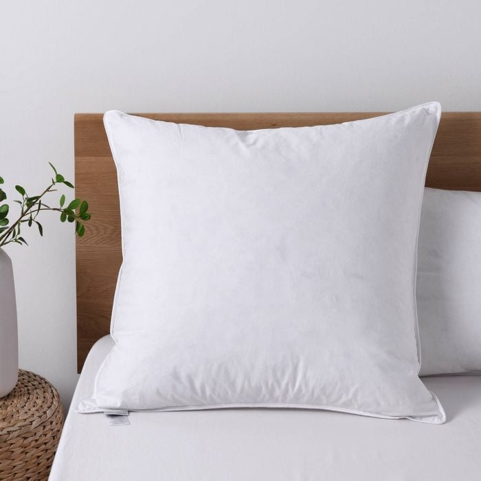 Dreamaker Goose Feather And Down Euro Pillow