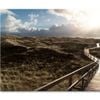 Dunes On Frisian Island Germany   Print 100% Australian Made 75 x 50cm  (Stretched)