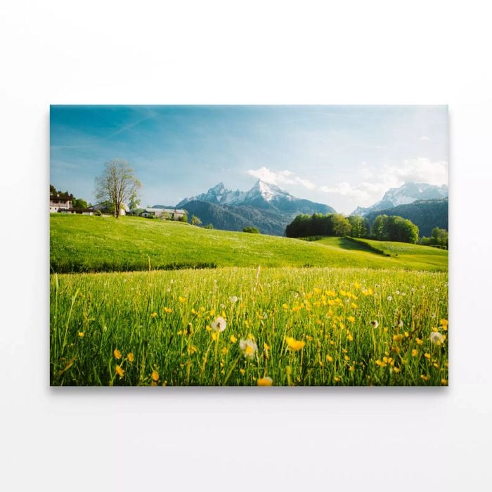 Meadows with Mountains  Print 100% Australian Made 90 x 60cm  (Stretched)