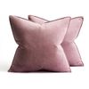 Catzon 2 Pcs Decorative Velvet Throw Pillow Covers Soild for Home Car 60X60cm-Rubber Red