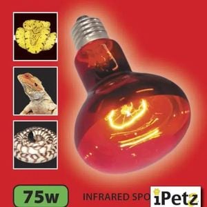 Urs Infrared Globe 75w