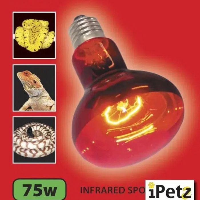 Urs Infrared Globe 75w