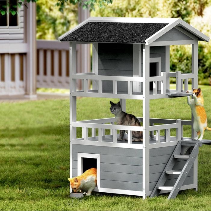 Cat House Outdoor Shelter 72cm x 72cm x 127cm Rabbit Hutch