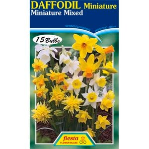 Daffodil Miniature Mixed - 15 Bulbs