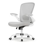 Eureka OC06 ONYX Ergonomic Home/Office Chair - GREY