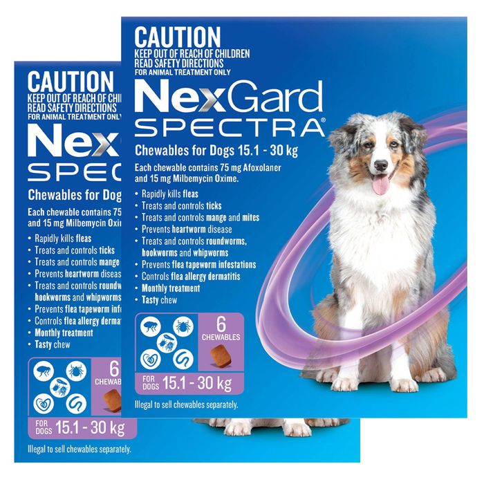 Nexgard Spectra Large Dogs (15.1 - 30kg) Purple 12 Pack