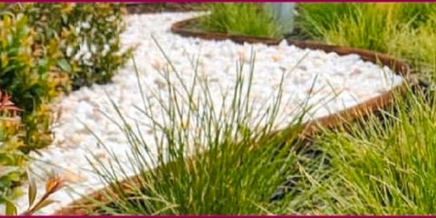 Garden with white pebbled path.