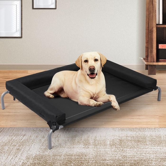PaWz Elevated Pet Bed Dog Puppy Cat Trampoline Hammock Raised