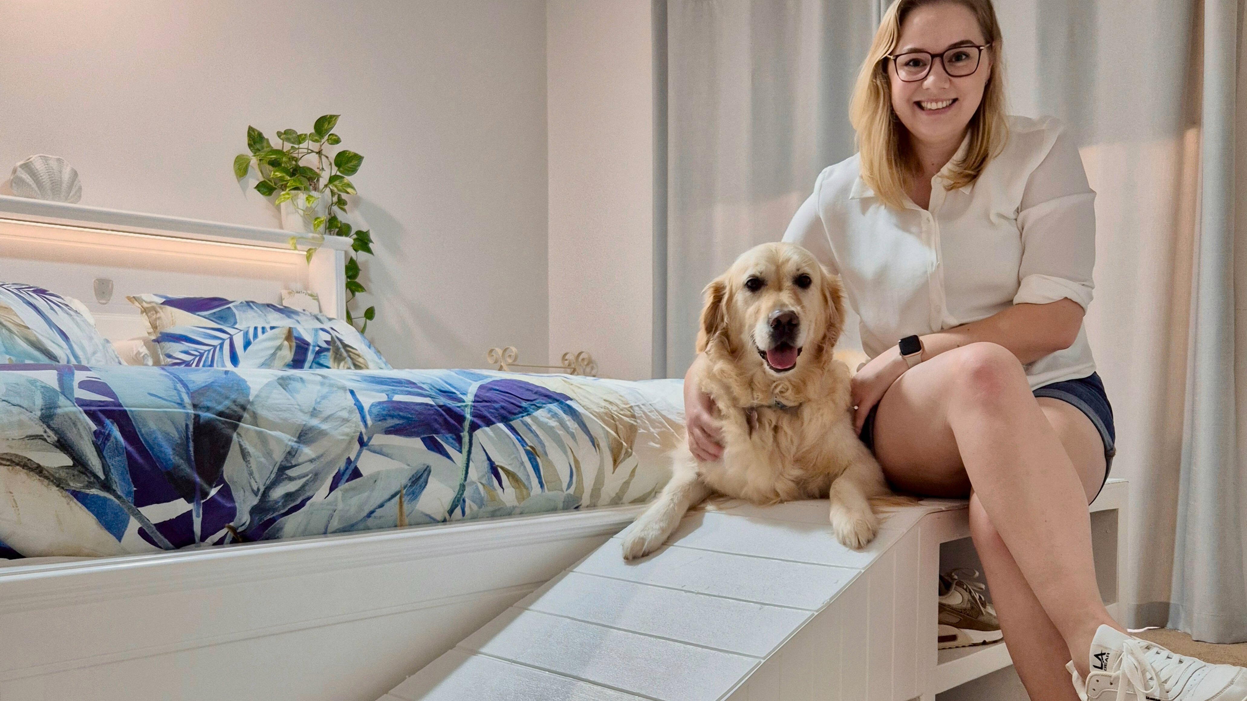 D.I.Y. - Step 1 - Is this the most stylish dog ramp ever