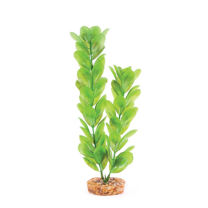 Kazoo Plastic Plant - Large Leaf Green Medium (19535)