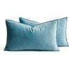 Catzon 2 Pcs Decorative Velvet Throw Pillow Covers Soild for Home Car 30X50cm-Lake Blue