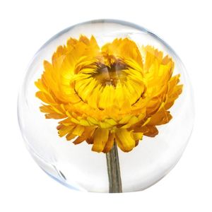 Leni Handcrafted Floral Resin Sphere W/ Real Helichrysum Flower Clear 8x7.5cm