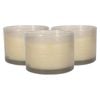 Scented Candles - 350g - Green Pomelo & Passion Fruit Pack of 3 Double Wick Sweet Fruity Scent Long Burn Fragrance