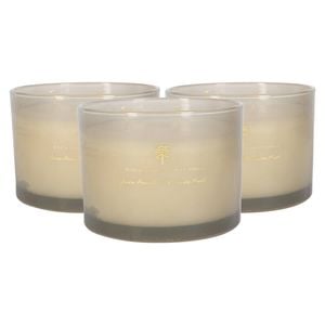 Scented Candles - 350g - Green Pomelo & Passion Fruit Pack of 3 Double Wick Sweet Fruity Scent Long Burn Fragrance