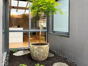 DIY - Header Image - From brick to bliss: step into a Japanese courtyard garden makeover