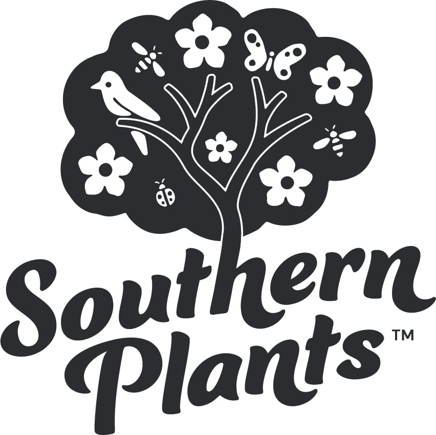 Southern Plants
