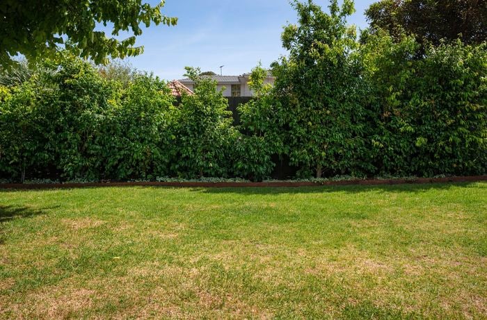 4. Having a shaded area.jpg