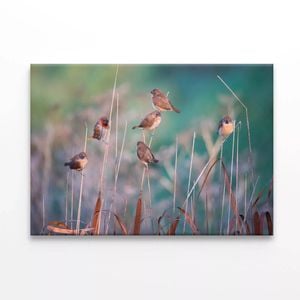 Birds Perched On a Branch View  Print 100% Australian Made 150 x 100cm  (Stretched)