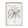 Lvd Coastal Whitewash Wooden Frame Palm Leaves Print Wall Hanging Decor 50x70cm