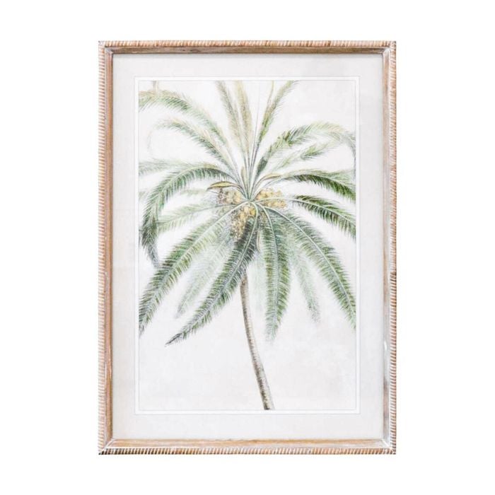 Lvd Coastal Whitewash Wooden Frame Palm Leaves Print Wall Hanging Decor 50x70cm