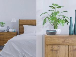 amazon echo at home