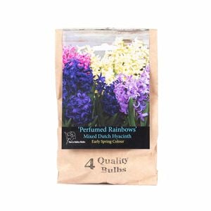 Yarra Valley Bulbs Hyacinth Mixed - 4 Pack