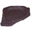 Urs Billabong Reptile Feeding Dish Brown Colour
