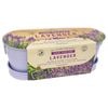 Mr Fothergill's Windowsill Lavender Seeds Tin