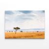 Kenya Open Field with Elephants  Print 100% Australian Made 75 x 50cm  (Stretched)