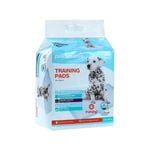Dog Training