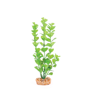 Kazoo Plastic Plant - Medium Leaf Green Small (19531)