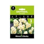 Daffodil Double Spring Green Bulb - 3 Pack