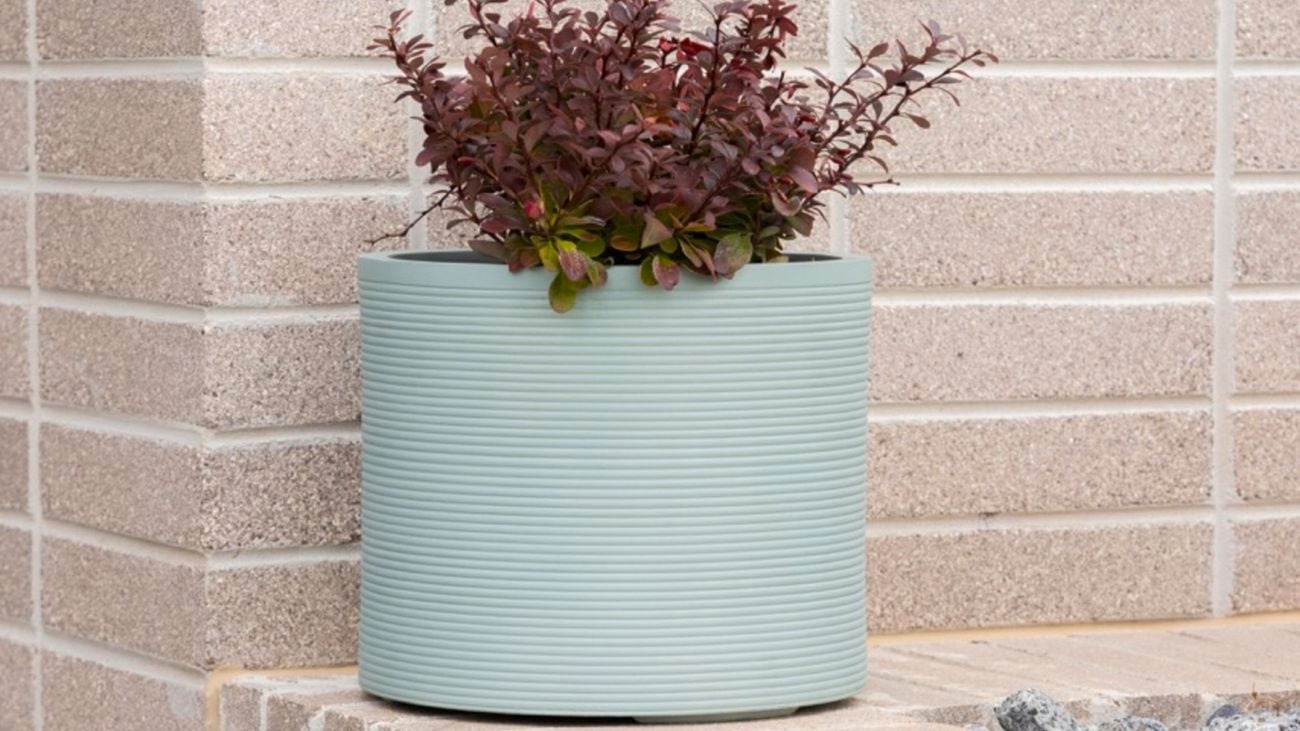 A small mint-coloured Tuscan Path ‘Maverick’ Pot filled with a red plant, sitting on a brick wall